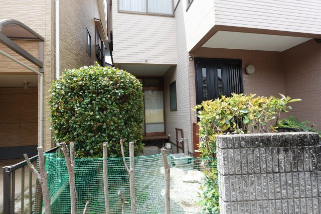 庭