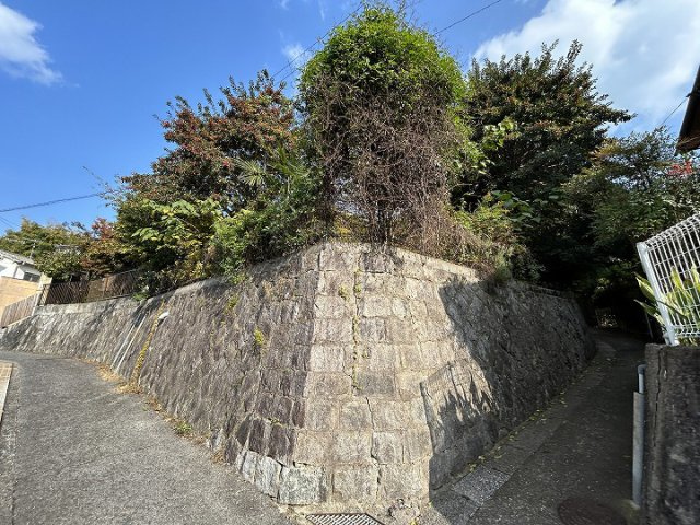 外観：334000196918