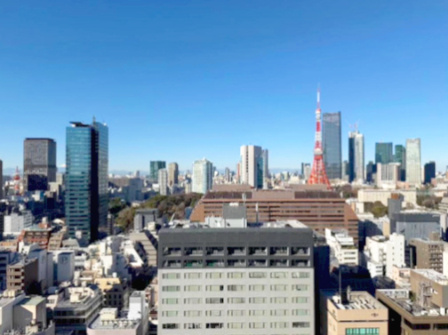 東京タワーを望む素晴らしい眺望