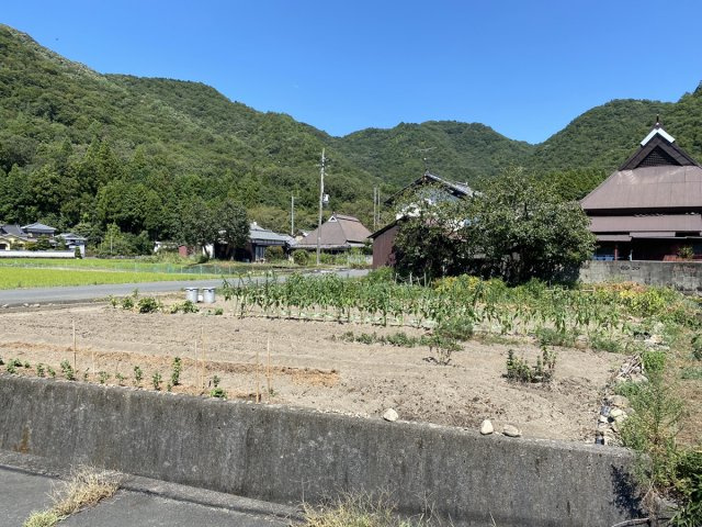 【現況写真】