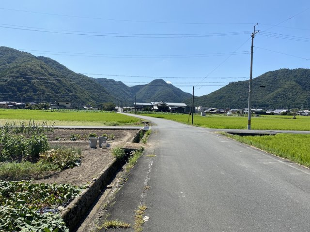 【現況写真】