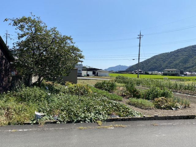 【現況写真】