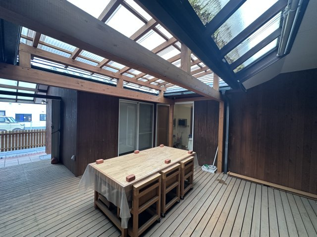 庭