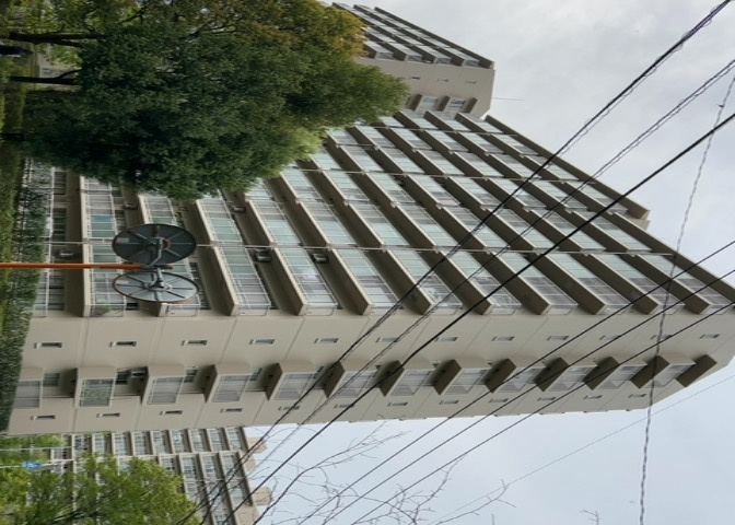 外観：313004702500