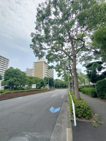 【前面道路】