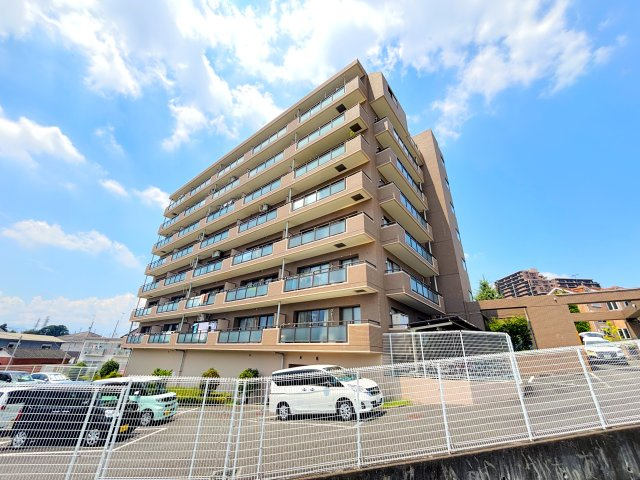 外観：313004545100