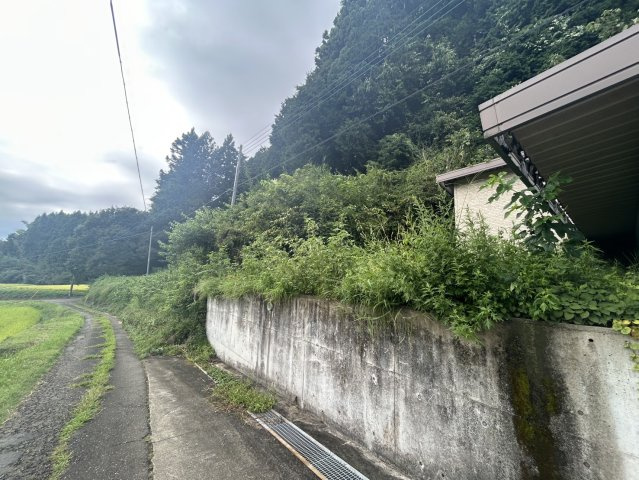 展望