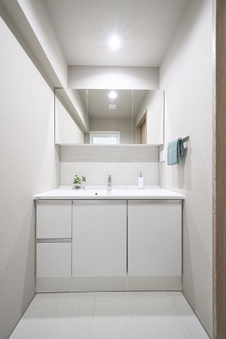 三面鏡裏収納を備えた清潔感のある洗面化粧台。ボウル下の収納と合わせて洗面用品をすっきりと整理でき、毎日の身支度をスムーズかつ快適に行える実用的な設備です。