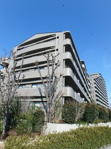 外観：311002323685