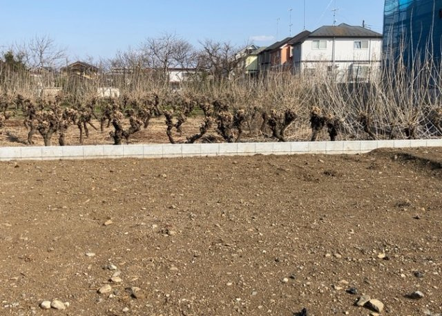 バルコニーは、室外の専用スペースのうち、「屋根がなく開放された空間」であるものを指します。ベランダより広いタイプのものが多く、日当たりもよいため家庭菜園などを楽しみたい人にとって適した環境となります。