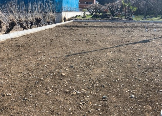 木造住宅とは土台、壁、柱など建築物の強度を支える構造体の材に木が使用されている構造を指します。構造体は建物の自重を支えるだけではなく風圧や水圧、積裁荷重などあらゆる衝撃に耐えるための基礎です。