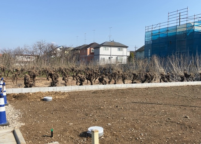 桜や紅葉の名所に出かける人は多いと思いますが、家にいながら季節の移ろいを感じる生活を送りませんか？リビングや窓から見える景色が生活を彩るワンポイントに！現地から見える景色を堪能してみては如何でしょう。