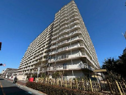 外観：313004648659