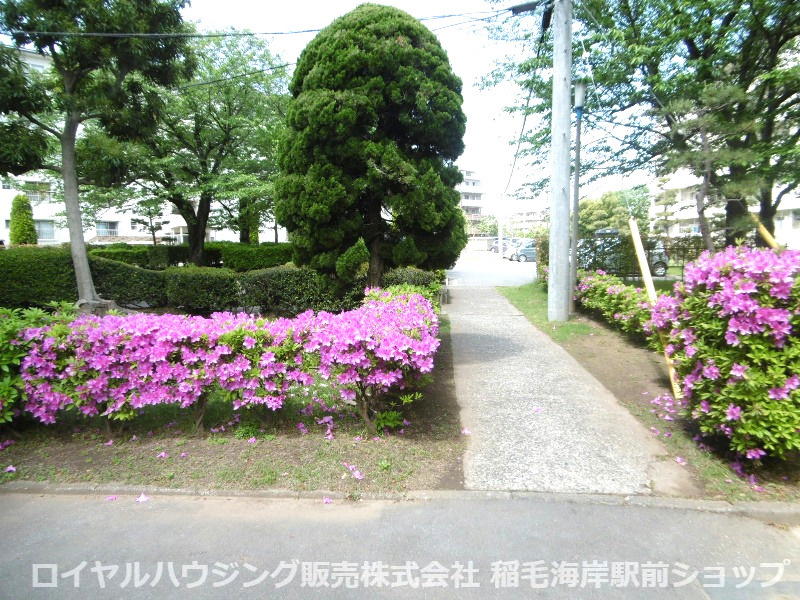 敷地内は緑に囲まれてます！