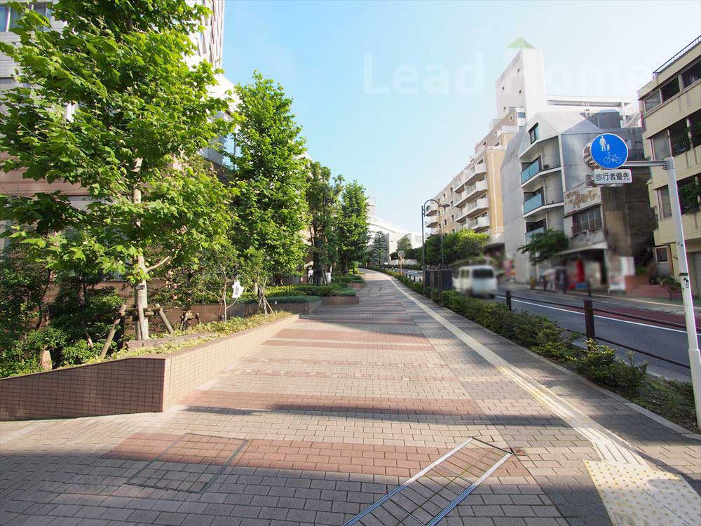 前面道路