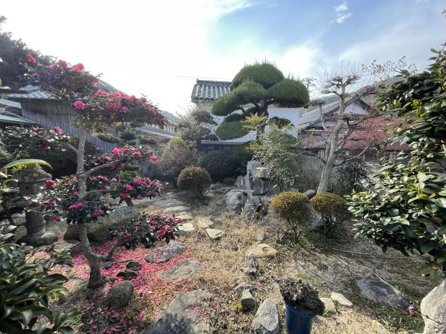 庭