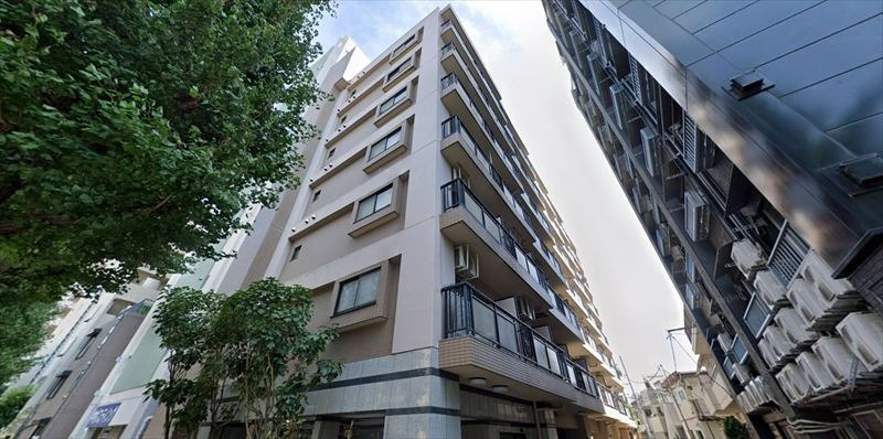 外観：313004659464