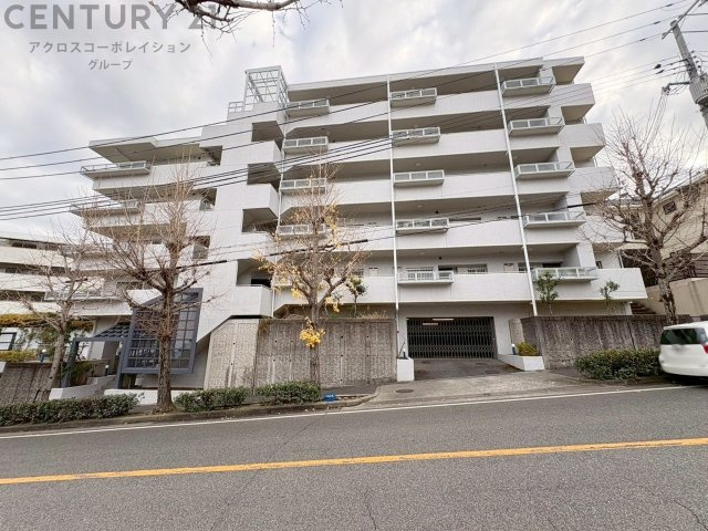 外観：328000590517