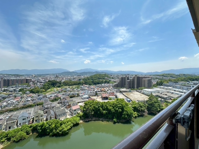 展望