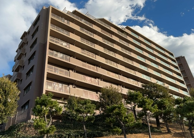 外観：313004575962