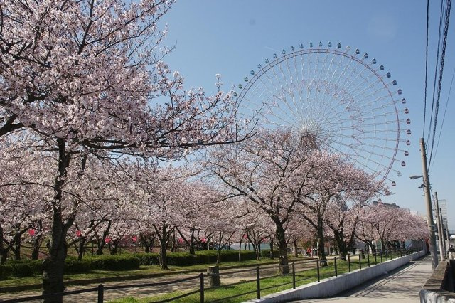 天保山公園