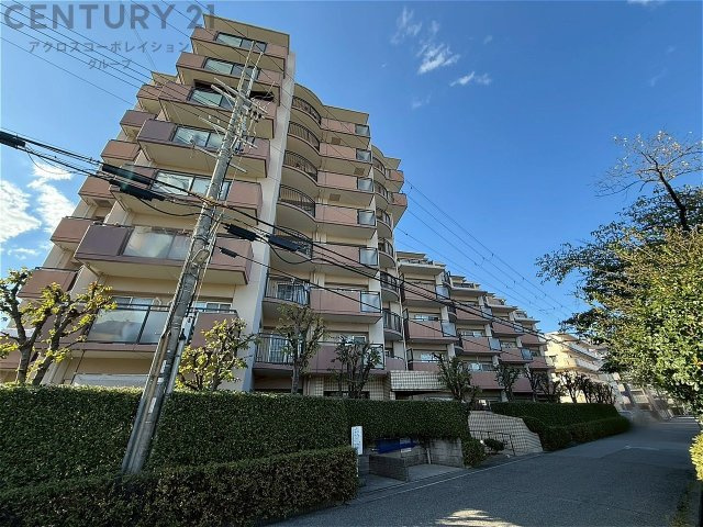 外観：328000336242