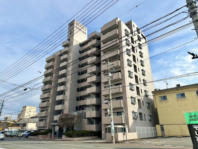 外観：334000196745