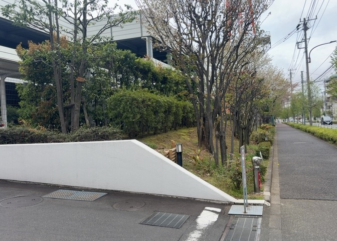 中庭（パティオ）とは、一つの建築物の内部に設けられた、壁などで囲われている庭のことを指します。コの字型、ロの字型が主流ですが、L字型の中庭もあります。最近では、インテリア性の高さからも人気があります。