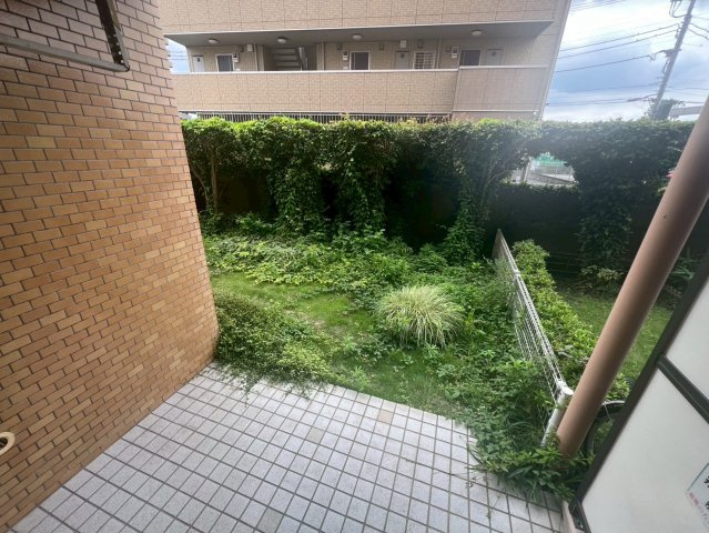 庭