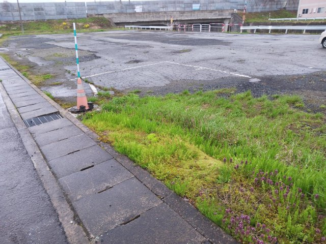 外観：306000007275