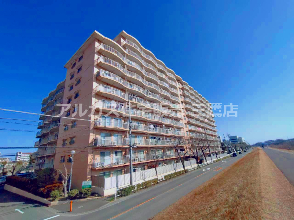 外観：313004573208