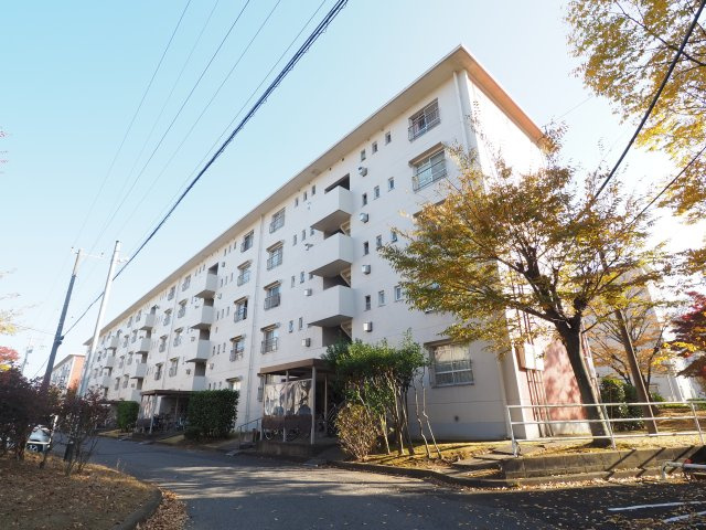 外観：312001196533