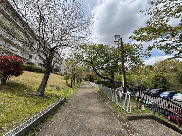 マンション周辺の遊歩道はとても良い雰囲気の街並みです！