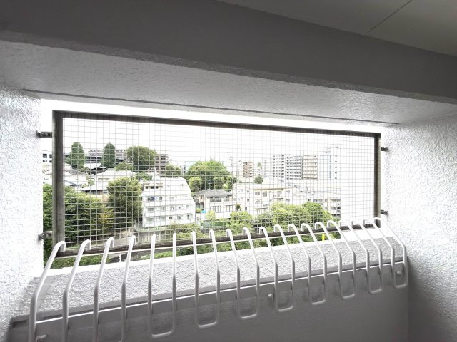 展望