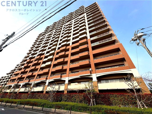 外観：328000619853