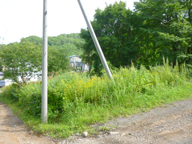 外観：301000102880