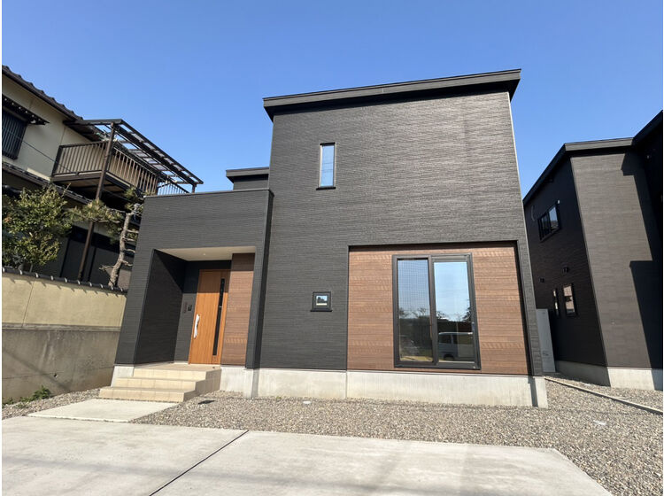 外観：317000011244