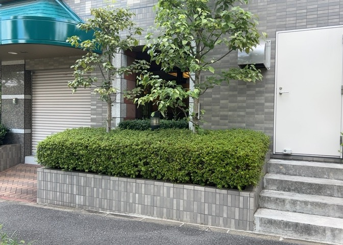 敷地内の植栽や緑地スペースは丁寧に手入れされており、緑豊かな住宅地ならではの心地よい住環境を作り出しています。四季折々の自然を感じながら、快適に過ごしていただける魅力的なマンション敷地内です。