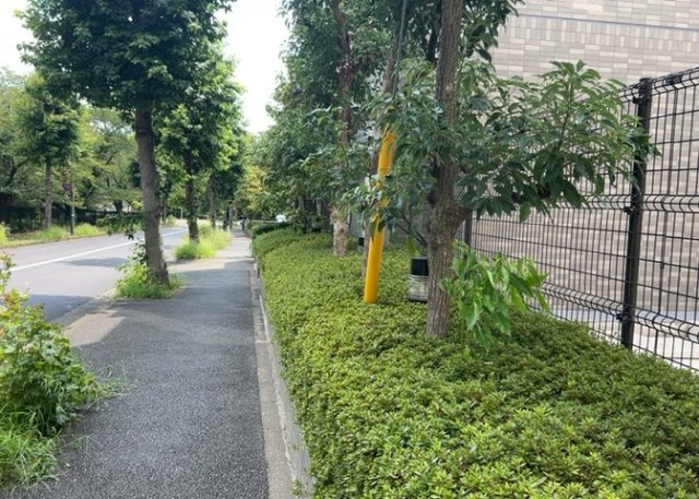 建物周辺や共用部は管理体制が整っており、緑を感じられる落ち着いた雰囲気が漂っています。日当たりの良さや風通しの良さを実感できる、ゆとりある敷地配置となっており、日々の生活に癒やしを与えてくれます。