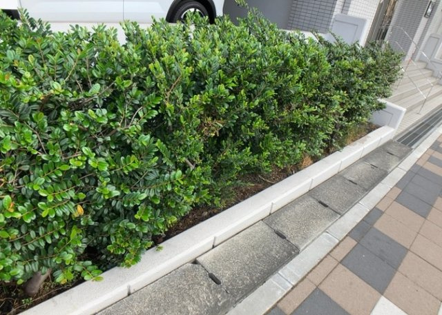 中庭（パティオ）とは、一つの建築物の内部に設けられた、壁などで囲われている庭のことを指します。コの字型、ロの字型が主流ですが、L字型の中庭もあります。最近では、インテリア性の高さからも人気があります。