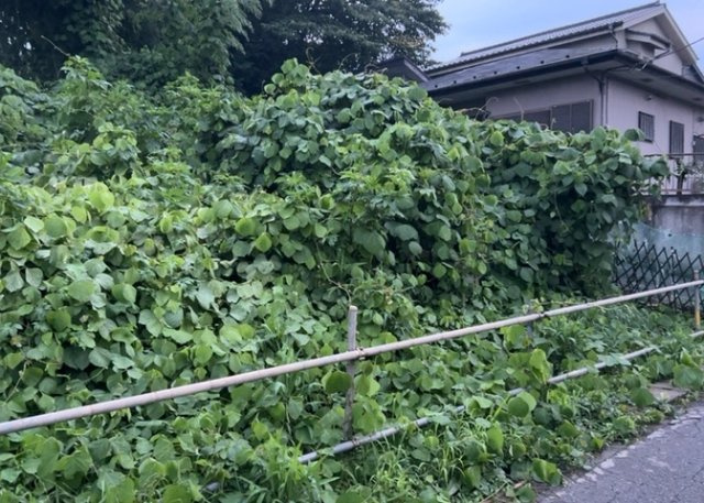 家を建てる場合、方位は要チェックです。現実的に日当たりのよい家ならばリビングは南側、建築基準法でも北側に当たる家への配慮は求められています。土地を見学に行く際は、方位磁針を持って行くようにしましょう。