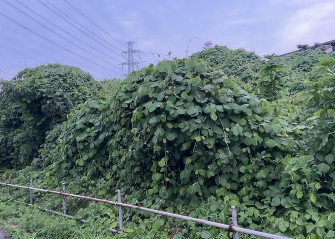 土地を買う際、住む地域の自治体や福祉の補助制度にも注目してみましょう。子供や老人の医療補助やゴミ出しのルールなど、自治体によってルールに大きな違いがあるため、暮らしやすい土地で判断するとよいでしょう。