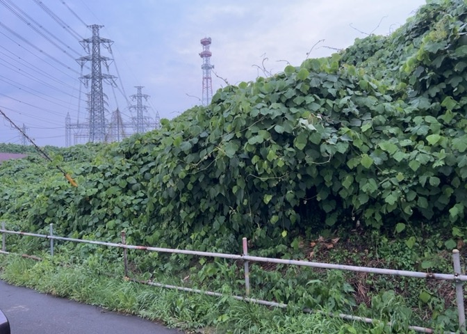 外観：313004818302