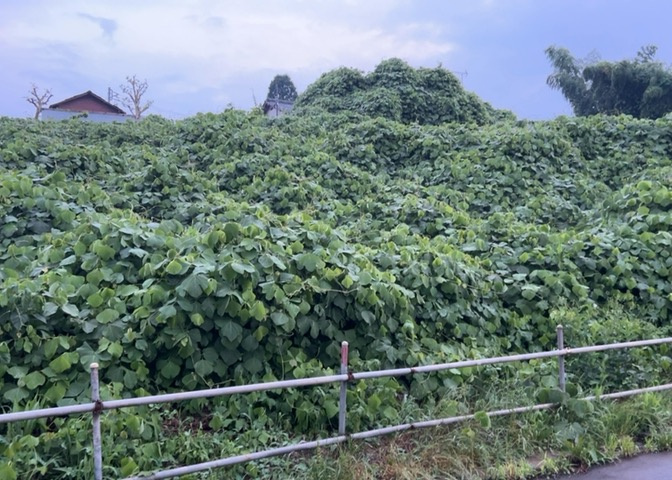 現地に行くなら、物件の周囲の地形がどうなっているかを見ることも大切です。周辺より低くなっている土地では、大雨などで水が集まりやすいため、地盤が弱くなっているということも考えられるため、注意が必要です。