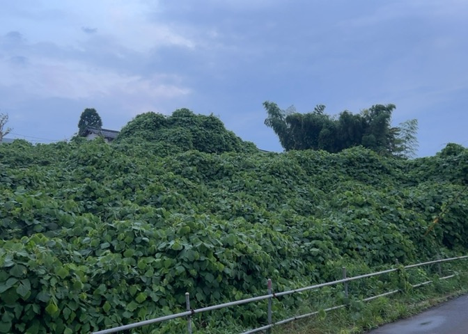 隣家の土地はどうなっているのか、生活利便施設が近くにあるのか、学校まで近いかなど、お客様のライフスタイルにあわせたイメージが重要です。また、近くにあると困る施設が近くにないかも確認するといいでしょう。