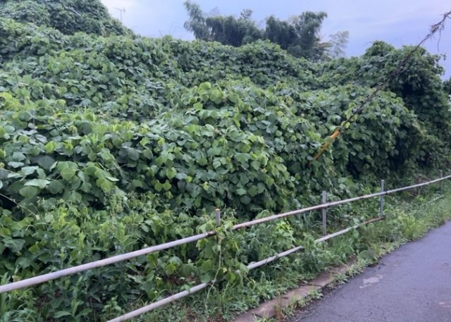 土地購入を検討されている場合、境界杭がない状態で購入してしまうと境界確定測量をする必要があり、費用がかかります。購入の前に、売主、隣土地所有者立ち合いのもと境界を確定し境界杭を設置するのがベストです。