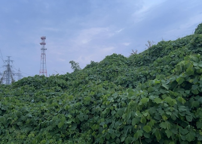 家を建てる前提で土地を探している場合、地盤の丈夫さは譲れない条件の一つです。地盤が脆弱だと追加工事が必要となります。また、過去に地盤沈下や液状化現象を起こした土地は、できるだけ避けた方がいいでしょう。