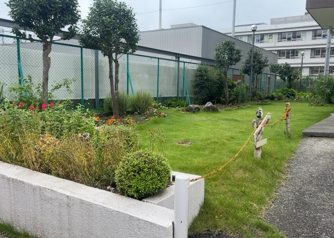 中庭（パティオ）とは、一つの建築物の内部に設けられた、壁などで囲われている庭のことを指します。コの字型、ロの字型が主流ですが、L字型の中庭もあります。最近では、インテリア性の高さからも人気があります。