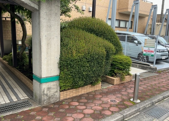 中庭（パティオ）とは、一つの建築物の内部に設けられた、壁などで囲われている庭のことを指します。コの字型、ロの字型が主流ですが、L字型の中庭もあります。最近では、インテリア性の高さからも人気があります。