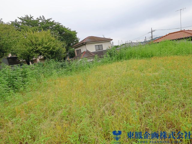 撮影日：令和8年9月